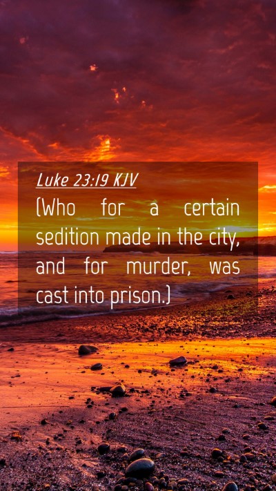 Picture 04 - Luke 23:19 KJV Mobile Phone Wallpaper - (Who for a certain sedition made in the city, and - Mobile Bible Verse Wallpaper