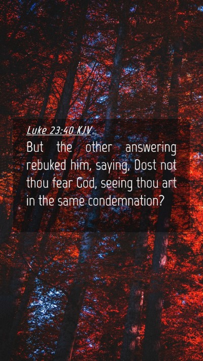 Picture 04 - Luke 23:40 KJV Mobile Phone Wallpaper - But the other answering rebuked him, saying, Dost - Mobile Bible Verse Wallpaper