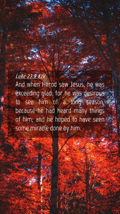 Picture 04 - Luke 23:8 KJV Mobile Phone Wallpaper - And when Herod saw Jesus, he was exceeding glad: - Mobile Bible Verse Wallpaper