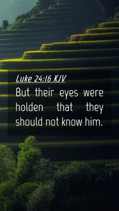 Picture 04 - Luke 24:16 KJV Mobile Phone Wallpaper - But their eyes were holden that they should not - Mobile Bible Verse Wallpaper