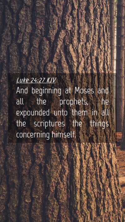 Picture 04 - Luke 24:27 KJV Mobile Phone Wallpaper - And beginning at Moses and all the prophets, he - Mobile Bible Verse Wallpaper