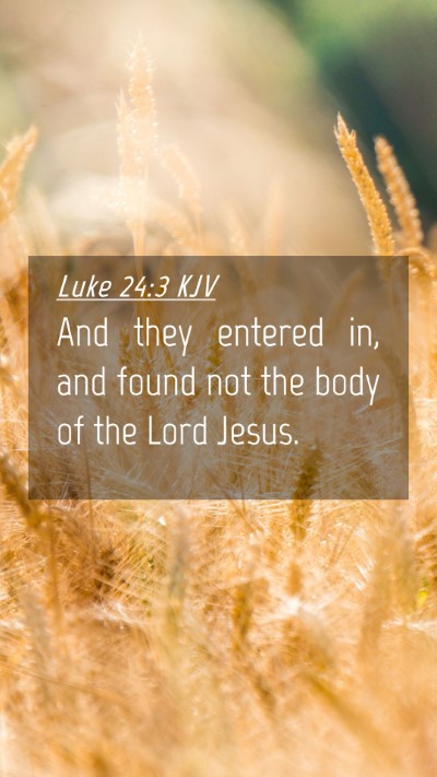 Picture 04 - Luke 24:3 KJV Mobile Phone Wallpaper - And they entered in, and found not the body of - Mobile Bible Verse Wallpaper