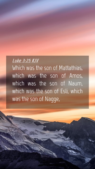 Picture 04 - Luke 3:25 KJV Mobile Phone Wallpaper - Which was the son of Mattathias, which was the - Mobile Bible Verse Wallpaper