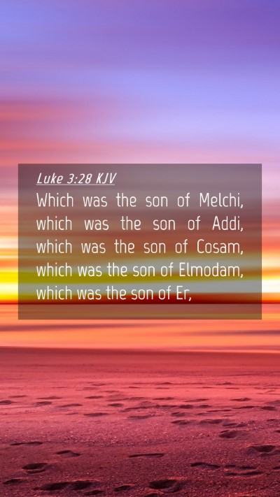 Picture 04 - Luke 3:28 KJV Mobile Phone Wallpaper - Which was the son of Melchi, which was the son of - Mobile Bible Verse Wallpaper