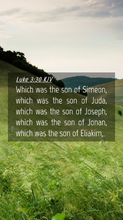 Picture 04 - Luke 3:30 KJV Mobile Phone Wallpaper - Which was the son of Simeon, which was the son of - Mobile Bible Verse Wallpaper