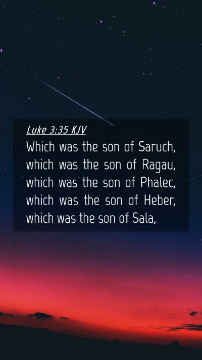 Picture 04 - Luke 3:35 KJV Mobile Phone Wallpaper - Which was the son of Saruch, which was the son of - Mobile Bible Verse Wallpaper