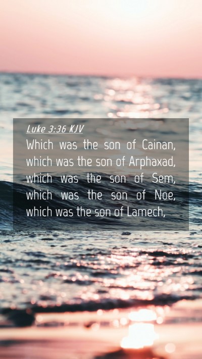 Picture 04 - Luke 3:36 KJV Mobile Phone Wallpaper - Which was the son of Cainan, which was the son of - Mobile Bible Verse Wallpaper