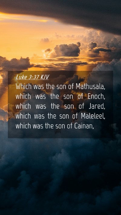 Picture 04 - Luke 3:37 KJV Mobile Phone Wallpaper - Which was the son of Mathusala, which was the son - Mobile Bible Verse Wallpaper