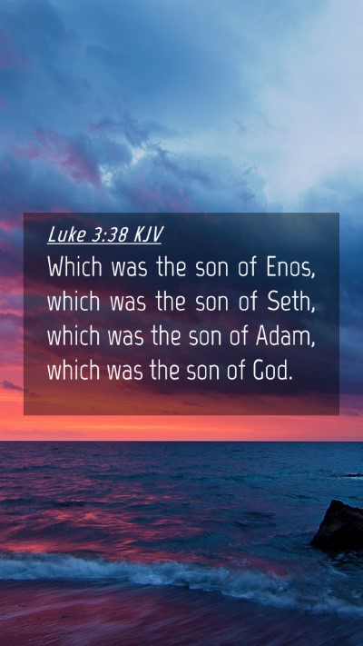 Picture 04 - Luke 3:38 KJV Mobile Phone Wallpaper - Which was the son of Enos, which was the son of - Mobile Bible Verse Wallpaper