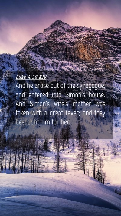 Picture 04 - Luke 4:38 KJV Mobile Phone Wallpaper - And he arose out of the synagogue, and entered - Mobile Bible Verse Wallpaper
