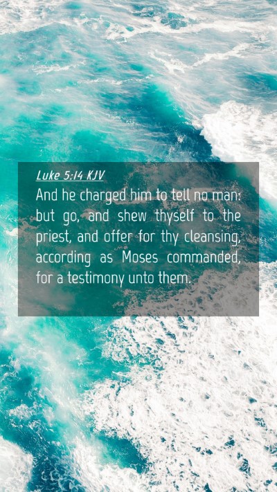 Picture 04 - Luke 5:14 KJV Mobile Phone Wallpaper - And he charged him to tell no man: but go, and - Mobile Bible Verse Wallpaper