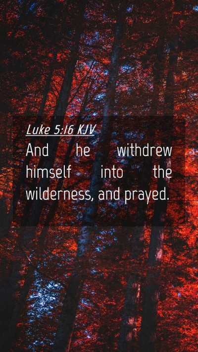 Picture 04 - Luke 5:16 KJV Mobile Phone Wallpaper - And he withdrew himself into the wilderness, and - Mobile Bible Verse Wallpaper
