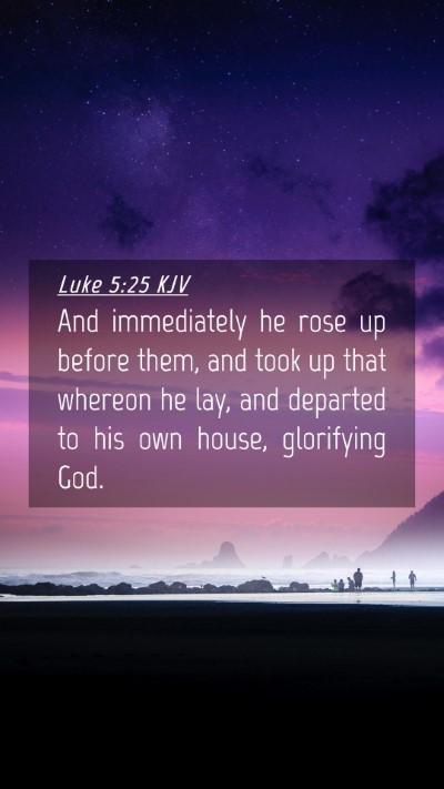 Picture 04 - Luke 5:25 KJV Mobile Phone Wallpaper - And immediately he rose up before them, and took - Mobile Bible Verse Wallpaper