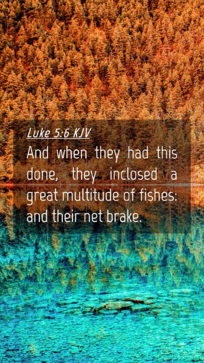 Picture 04 - Luke 5:6 KJV Mobile Phone Wallpaper - And when they had this done, they inclosed a - Mobile Bible Verse Wallpaper