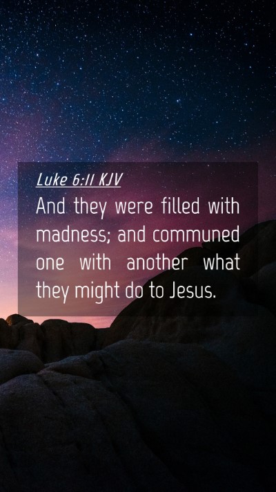 Picture 04 - Luke 6:11 KJV Mobile Phone Wallpaper - And they were filled with madness; and communed - Mobile Bible Verse Wallpaper