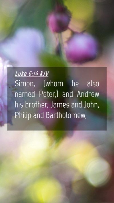 Picture 04 - Luke 6:14 KJV Mobile Phone Wallpaper - Simon, (whom he also named Peter,) and Andrew his - Mobile Bible Verse Wallpaper