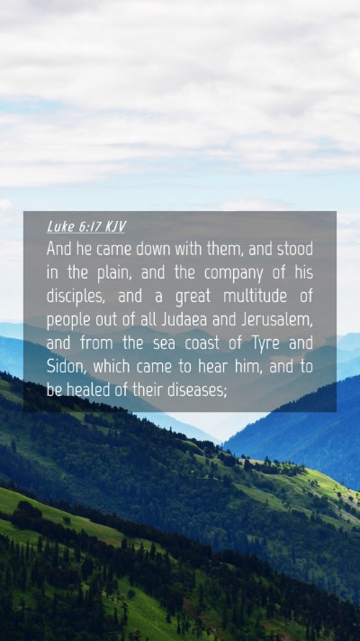 Picture 04 - Luke 6:17 KJV Mobile Phone Wallpaper - And he came down with them, and stood in the - Mobile Bible Verse Wallpaper