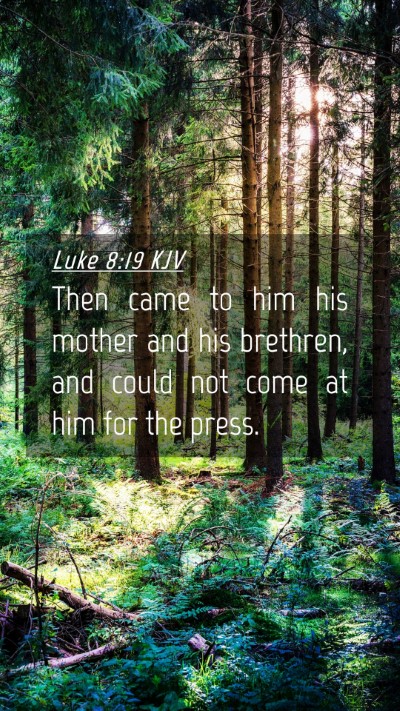 Picture 04 - Luke 8:19 KJV Mobile Phone Wallpaper - Then came to him his mother and his brethren, and - Mobile Bible Verse Wallpaper