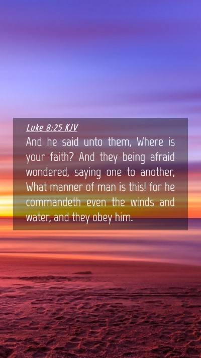 Picture 04 - Luke 8:25 KJV Mobile Phone Wallpaper - And he said unto them, Where is your faith? And - Mobile Bible Verse Wallpaper