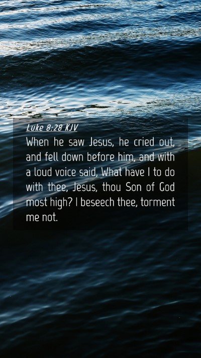 Picture 04 - Luke 8:28 KJV Mobile Phone Wallpaper - When he saw Jesus, he cried out, and fell down - Mobile Bible Verse Wallpaper
