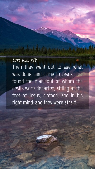 Picture 04 - Luke 8:35 KJV Mobile Phone Wallpaper - Then they went out to see what was done; and came - Mobile Bible Verse Wallpaper