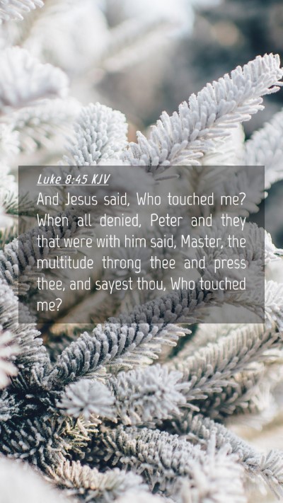 Picture 04 - Luke 8:45 KJV Mobile Phone Wallpaper - And Jesus said, Who touched me? When all denied, - Mobile Bible Verse Wallpaper