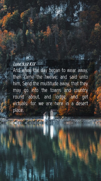 Picture 04 - Luke 9:12 KJV Mobile Phone Wallpaper - And when the day began to wear away, then came - Mobile Bible Verse Wallpaper
