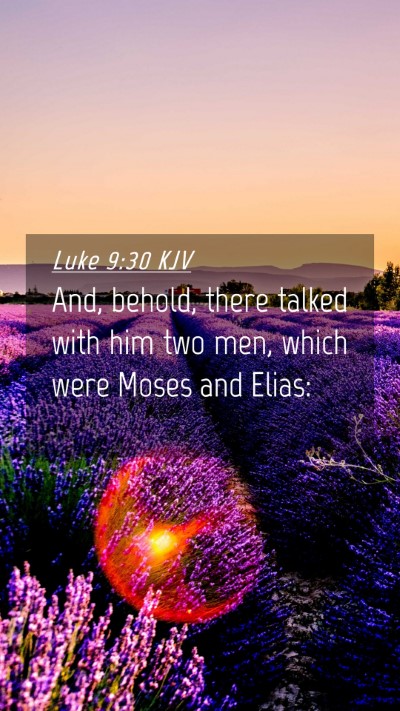 Picture 04 - Luke 9:30 KJV Mobile Phone Wallpaper - And, behold, there talked with him two men, which - Mobile Bible Verse Wallpaper