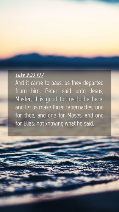 Picture 04 - Luke 9:33 KJV Mobile Phone Wallpaper - And it came to pass, as they departed from him, - Mobile Bible Verse Wallpaper