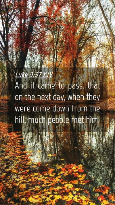 Picture 04 - Luke 9:37 KJV Mobile Phone Wallpaper - And it came to pass, that on the next day, when - Mobile Bible Verse Wallpaper