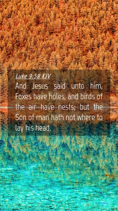 Picture 04 - Luke 9:58 KJV Mobile Phone Wallpaper - And Jesus said unto him, Foxes have holes, and - Mobile Bible Verse Wallpaper