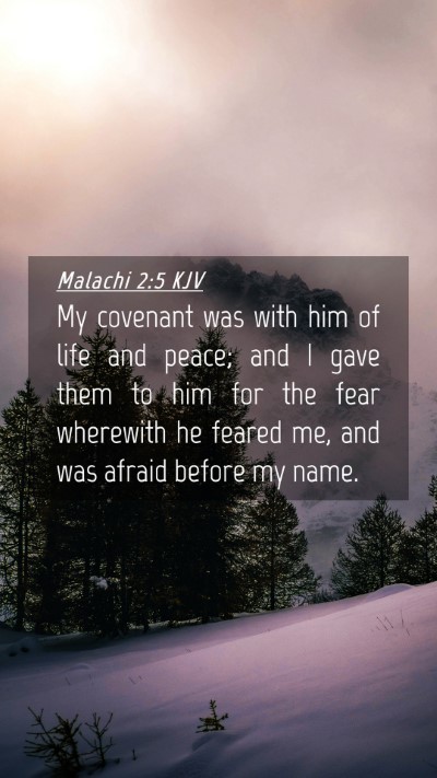 Picture 04 - Malachi 2:5 KJV Mobile Phone Wallpaper - My covenant was with him of life and peace; and I - Mobile Bible Verse Wallpaper