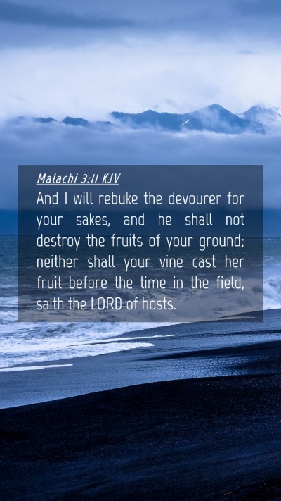 Picture 04 - Malachi 3:11 KJV Mobile Phone Wallpaper - And I will rebuke the devourer for your sakes, - Mobile Bible Verse Wallpaper