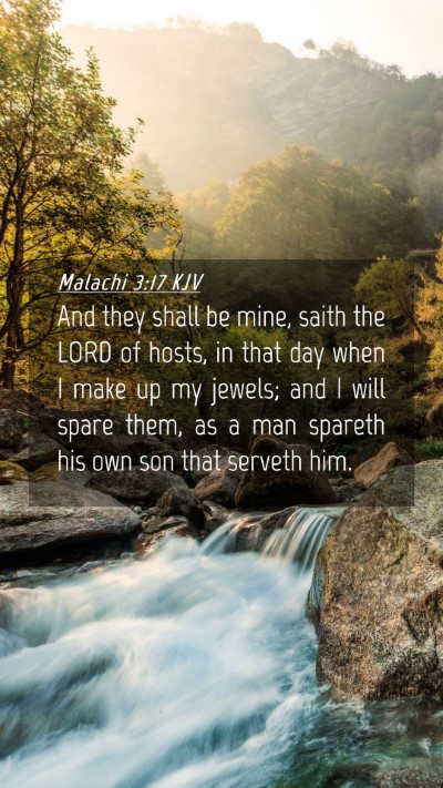 Picture 04 - Malachi 3:17 KJV Mobile Phone Wallpaper - And they shall be mine, saith the LORD of hosts, - Mobile Bible Verse Wallpaper