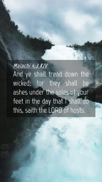 Picture 04 - Malachi 4:3 KJV Mobile Phone Wallpaper - And ye shall tread down the wicked; for they - Mobile Bible Verse Wallpaper