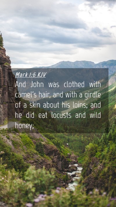 Picture 04 - Mark 1:6 KJV Mobile Phone Wallpaper - And John was clothed with camel's hair, and with - Mobile Bible Verse Wallpaper