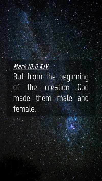 Picture 04 - Mark 10:6 KJV Mobile Phone Wallpaper - But from the beginning of the creation God made - Mobile Bible Verse Wallpaper