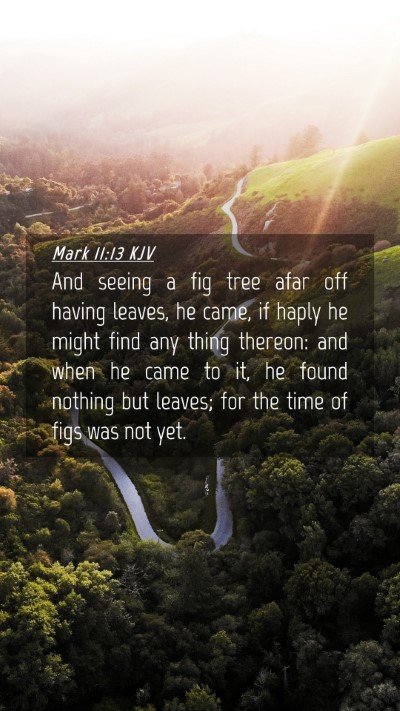 Picture 04 - Mark 11:13 KJV Mobile Phone Wallpaper - And seeing a fig tree afar off having leaves, he - Mobile Bible Verse Wallpaper