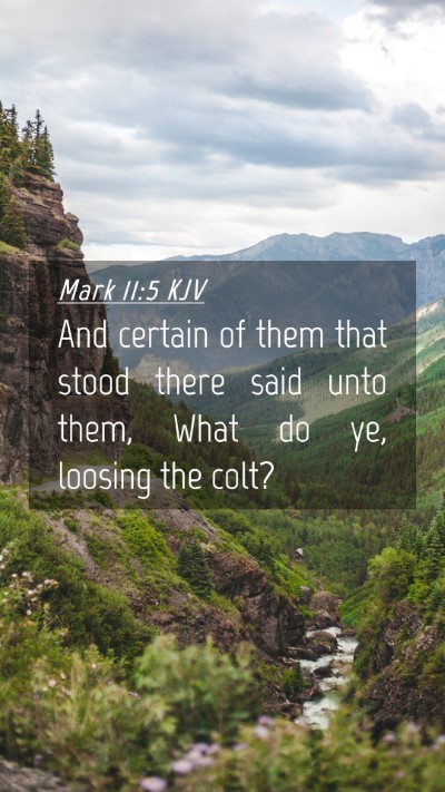 Picture 04 - Mark 11:5 KJV Mobile Phone Wallpaper - And certain of them that stood there said unto - Mobile Bible Verse Wallpaper