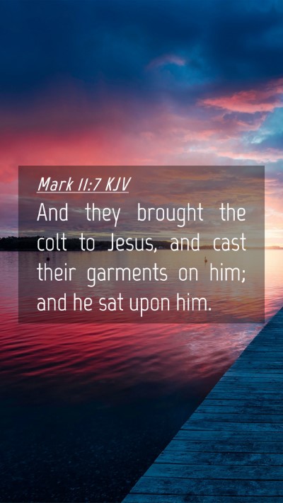 Picture 04 - Mark 11:7 KJV Mobile Phone Wallpaper - And they brought the colt to Jesus, and cast - Mobile Bible Verse Wallpaper
