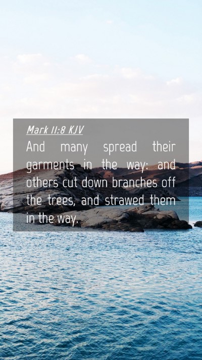 Picture 04 - Mark 11:8 KJV Mobile Phone Wallpaper - And many spread their garments in the way: and - Mobile Bible Verse Wallpaper