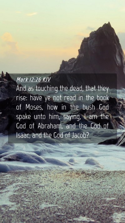 Picture 04 - Mark 12:26 KJV Mobile Phone Wallpaper - And as touching the dead, that they rise: have ye - Mobile Bible Verse Wallpaper