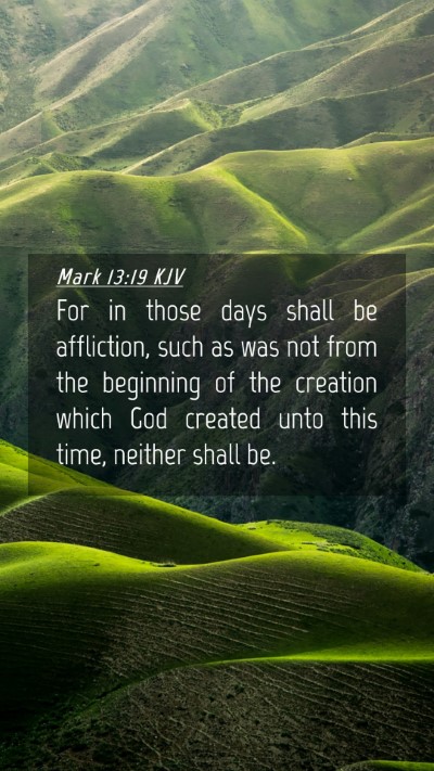 Picture 04 - Mark 13:19 KJV Mobile Phone Wallpaper - For in those days shall be affliction, such as - Mobile Bible Verse Wallpaper