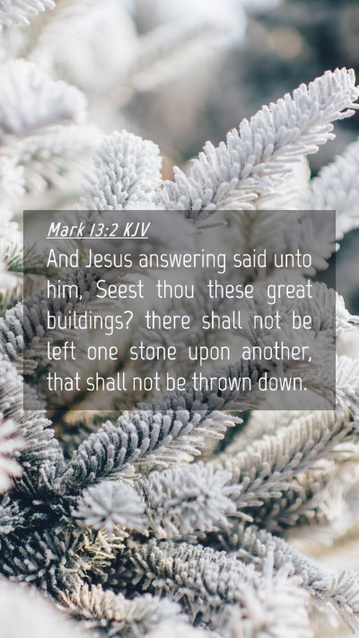 Picture 04 - Mark 13:2 KJV Mobile Phone Wallpaper - And Jesus answering said unto him, Seest thou - Mobile Bible Verse Wallpaper
