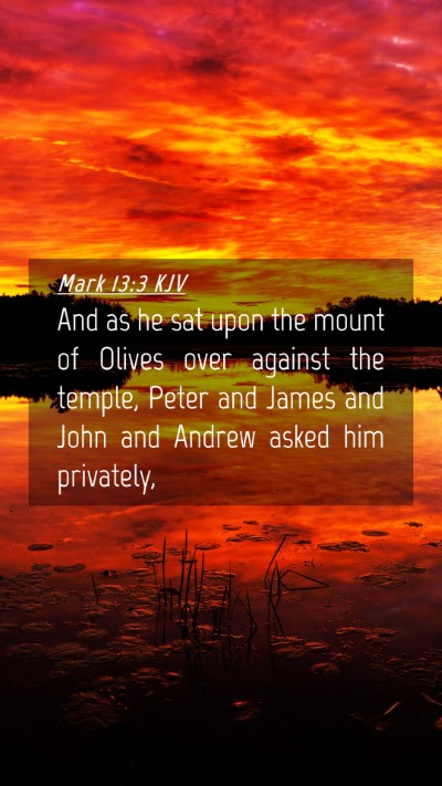 Picture 04 - Mark 13:3 KJV Mobile Phone Wallpaper - And as he sat upon the mount of Olives over - Mobile Bible Verse Wallpaper