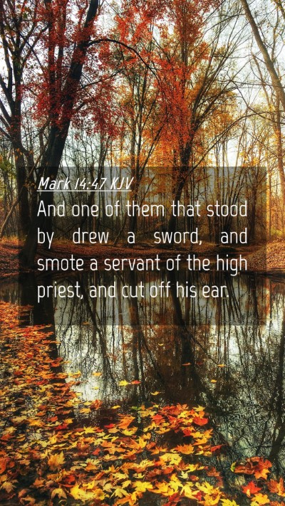 Picture 04 - Mark 14:47 KJV Mobile Phone Wallpaper - And one of them that stood by drew a sword, and - Mobile Bible Verse Wallpaper