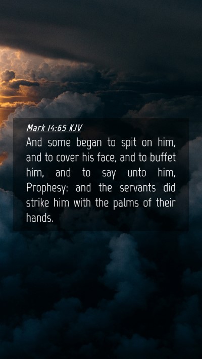 Picture 04 - Mark 14:65 KJV Mobile Phone Wallpaper - And some began to spit on him, and to cover his - Mobile Bible Verse Wallpaper