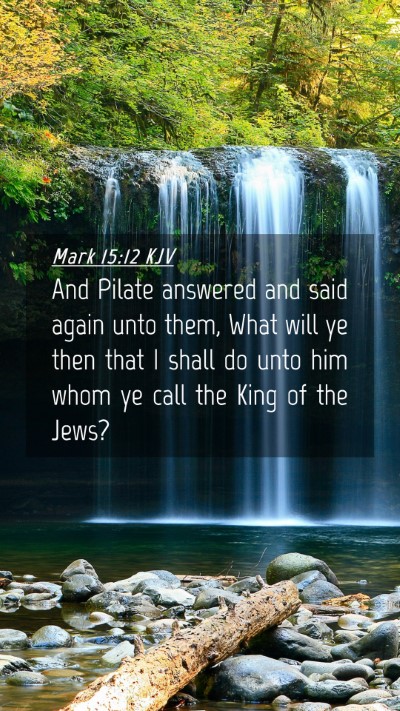 Picture 04 - Mark 15:12 KJV Mobile Phone Wallpaper - And Pilate answered and said again unto them, - Mobile Bible Verse Wallpaper