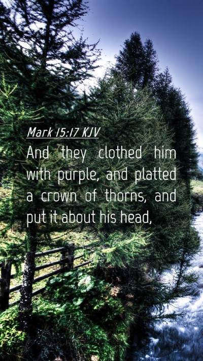 Picture 04 - Mark 15:17 KJV Mobile Phone Wallpaper - And they clothed him with purple, and platted a - Mobile Bible Verse Wallpaper