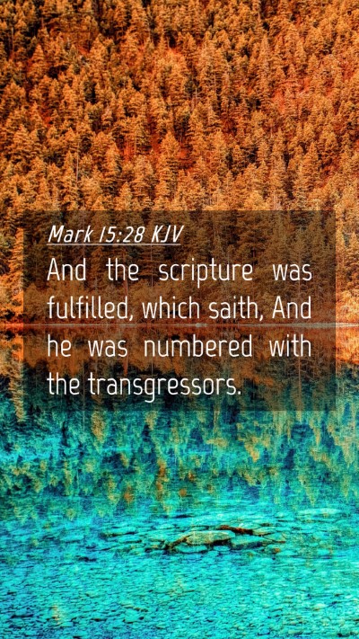 Picture 04 - Mark 15:28 KJV Mobile Phone Wallpaper - And the scripture was fulfilled, which saith, And - Mobile Bible Verse Wallpaper